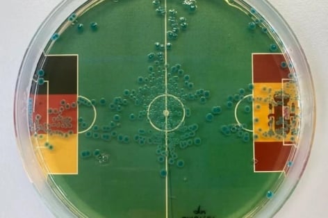 Vi khuẩn dự đoán kết quả Tây Ban Nha vs Đức tại Euro 2024