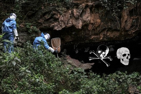 Bên trong hang động 'đáng sợ' nhất thế giới', nỗi ám ảnh về đại dịch