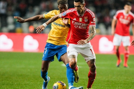 Nhận định Benfica vs Estoril: Chủ nhà áp đảo, 01h45 ngày 24/12/2024