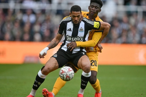 Nhận định Brighton vs Newcastle: Giữ vững top 3