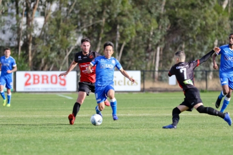 Nhận định Avondale vs Dandenong Thunder: Cạnh tranh thứ hạng