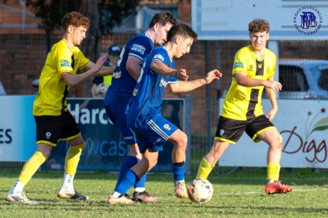 Nhận định Newcastle Olympic vs Edgeworth Eagles: Đội khách lấn lướt