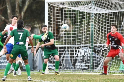 Nhận định Bentleigh Greens vs Brunswick City: Thắng sít sao