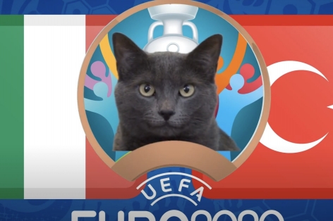 Mèo tiên tri dự đoán Thổ Nhĩ Kỳ vs Italia: Bất ngờ đầu tiên?