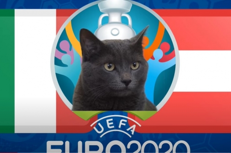 Mèo tiên tri dự đoán Italia vs Áo: Kết quả uy tín!