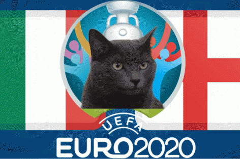 Mèo tiên tri dự đoán Ý vs Anh: Lộ diện nhà vô địch!