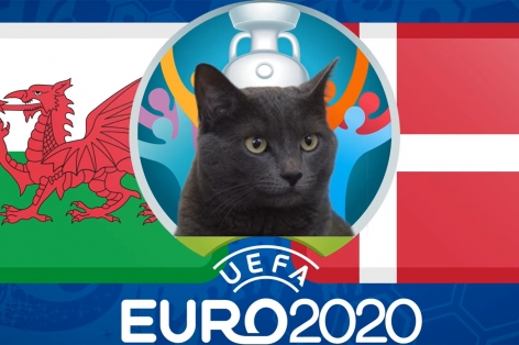 Mèo tiên tri dự đoán Xứ Wales vs Đan Mạch: Thắng lợi kịch tính