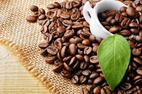 Giá cà phê ngày 18/6/2025: Sắc đỏ bao phủ