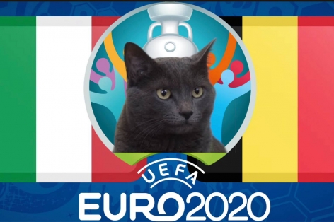 Mèo tiên tri dự đoán Bỉ vs Italia: Niềm vui cho đội bóng số 1?