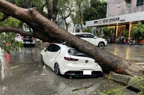 Mùa mưa bão đến gần: Cẩn trọng với đường ngập và cây đổ khi lái xe