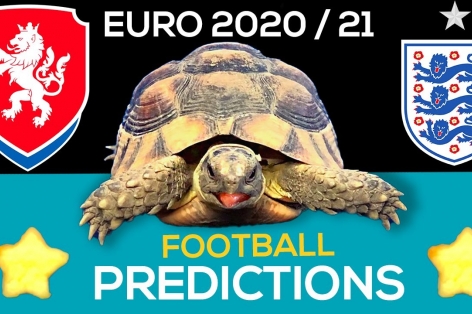 Thần Rùa tiên tri dự đoán kết quả CH Séc vs Anh: Định đoạt ngôi đầu