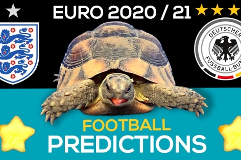 Thần Rùa tiên tri dự đoán kết quả Anh vs Đức: Uy tín tuyệt đối!