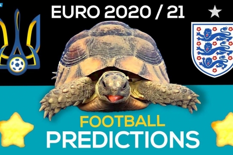 Thần Rùa tiên tri dự đoán kết quả Anh vs Ukraine: Tỉ lệ đúng 100%!