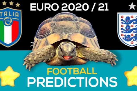 Thần Rùa tiên tri dự đoán kết quả Ý vs Anh: Uy tín!