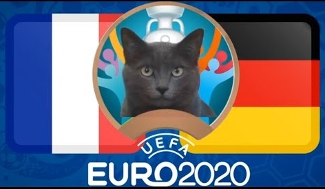 Mèo tiên tri dự đoán kết quả Pháp vs Đức: Gọi tên nhà vô địch