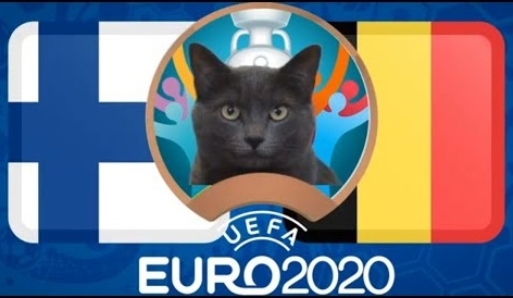 Mèo tiên tri dự đoán Phần Lan vs Bỉ: Đại gia gặp khó?