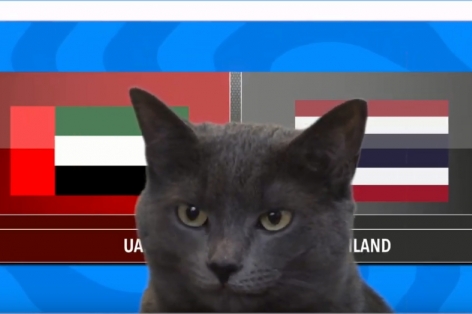 VIDEO: Mèo 'tiên tri' Thái Lan thua UAE tại Asian Cup 2019