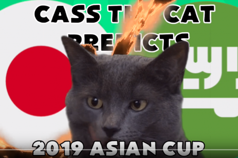 VIDEO: Mèo tiên tri dự đoán đối thủ Việt Nam tại tứ kết
