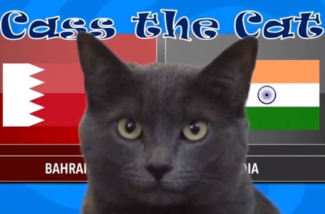 VIDEO: Mèo tiên tri dự đoán trận Bahrain vs Ấn Độ