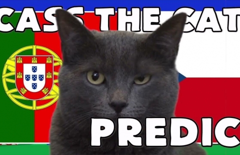 Mèo tiên tri dự đoán trận Bồ Đào Nha vs CH Séc: Sốc toàn tập!
