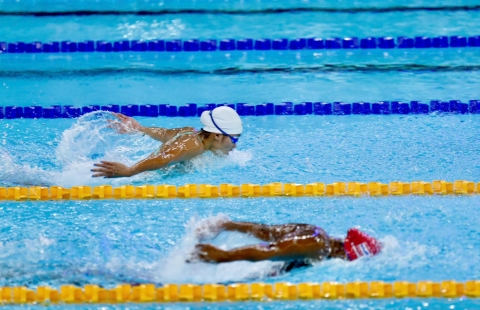 Bơi lội Việt Nam liên tục vào chung kết, chờ giành thêm HCV