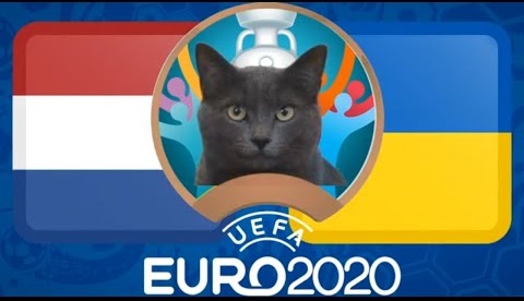 Mèo tiên tri dự đoán Hà Lan vs Ukraina: Ẩn số Đông Âu