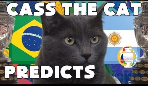 Mèo tiên tri dự đoán Brazil vs Argentina: Tín hiệu cho Messi