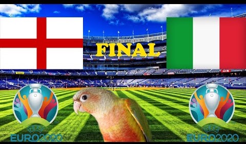 Chim thiêng dự đoán Anh vs Ý: Chân dung nhà vô địch