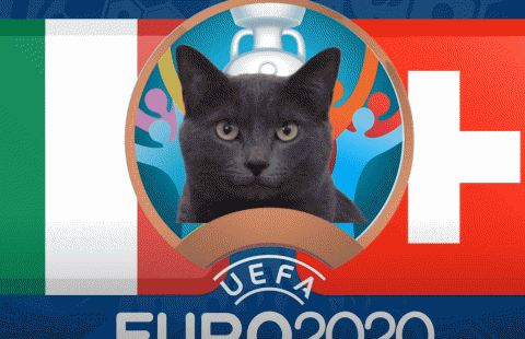 Mèo tiên tri dự đoán Italia vs Thụy Sĩ: 'Cửa trên' thắng chắc?