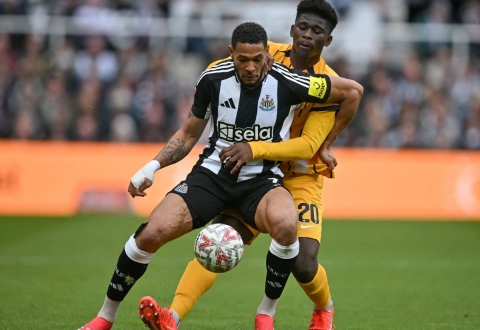 Nhận định Brighton vs Newcastle: Có trên 2,5 bàn thắng