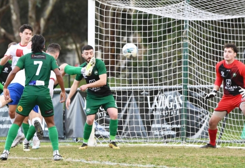 Nhận định George Cross vs Bentleigh Greens: Chiếm lấy ngôi đầu