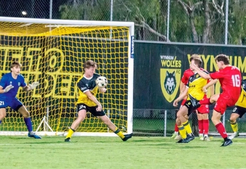 Nhận định Brisbane City vs Wynnum Wolves: Sẽ có nhiều bàn