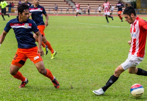 Nhận định Northern Tigers vs Rydalmere Lions: Chiến thắng dễ dàng