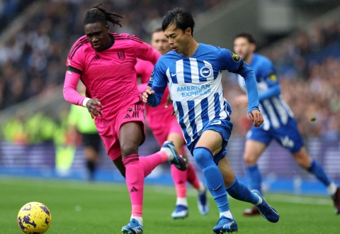 Nhận định Brighton vs Fulham: Chiến thắng trong tầm tay