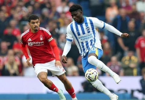 Nhận định Brighton vs Nottingham: Cả hai cùng khát điểm