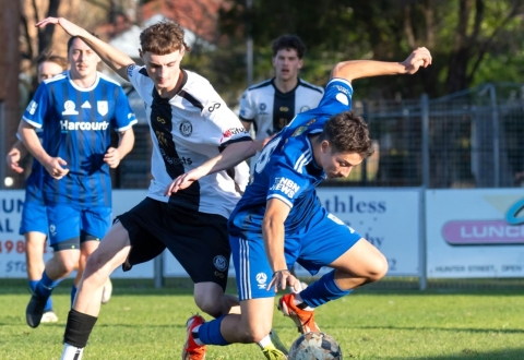 Nhận định Valentine Phoenix vs Maitland: Chênh lệch rõ ràng