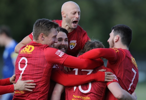 Nhận định Broadmeadow vs Maitland: Chủ nhà áp đảo