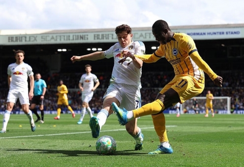 Nhận định Brighton vs Leeds: Tìm lại niềm vui