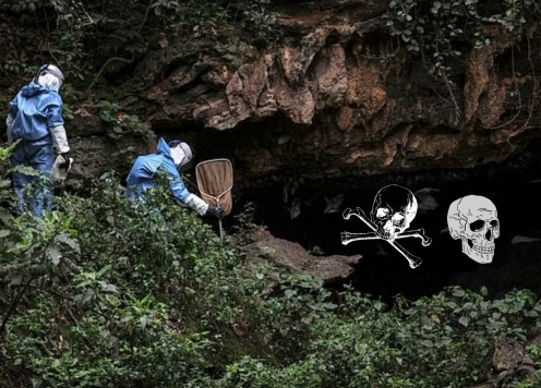 Bên trong hang động 'đáng sợ' nhất thế giới', nỗi ám ảnh về đại dịch