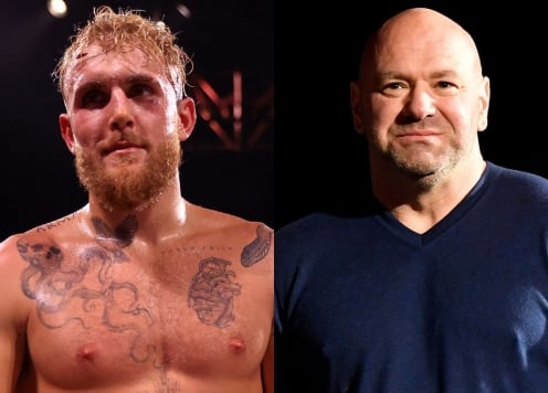 Dana White phản hồi về việc cấm Jake Paul đến các sự kiện UFC