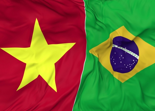 Việt Nam so tài với Brazil ở trận cầu đặc biệt