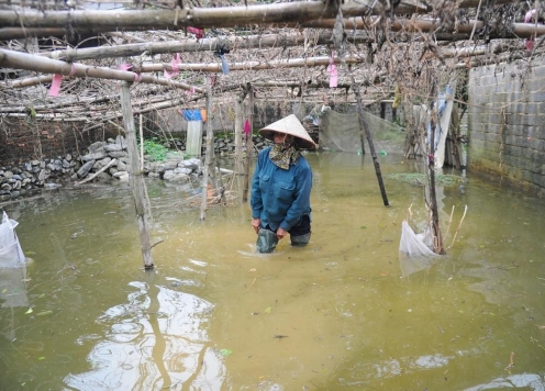 'Rốn lũ' Chương Mỹ khẩn trương đắp đê, di dời người dân trước khi nước sông Bùi dâng lên báo động nguy hiểm