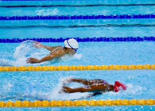 Bơi lội Việt Nam liên tục vào chung kết, chờ giành thêm HCV