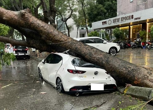 Ảnh hưởng từ siêu bão Yagi: Hà Nội nổi mưa giông lớn khiến hàng loạt ô tô, xe máy bị cây đổ đè bẹp