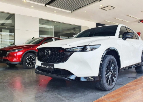 Toàn cảnh thị trường ô tô Việt Nam 2025: Ô tô điện 'lên ngôi', xe gầm cao vẫn rất được lòng khách hàng