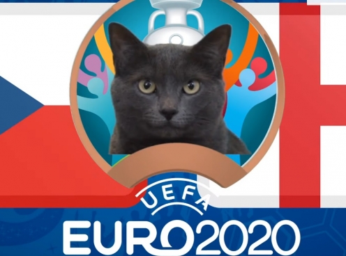 Mèo tiên tri dự đoán CH Séc vs Anh: Lựa chọn mạo hiểm