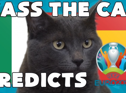 Mèo tiên tri dự đoán kết quả Ý vs Tây Ban Nha: Không thể sai sót!