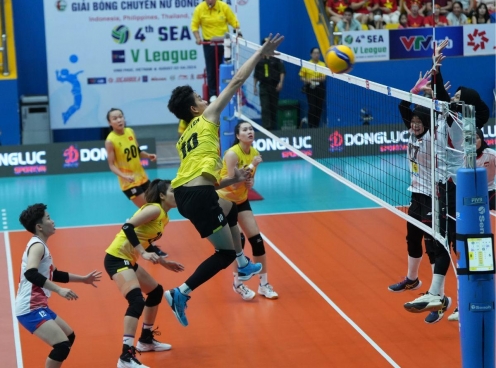 Bóng chuyền nữ Việt Nam nhận tin vui tại AVC Nations Cup và SEA V.League