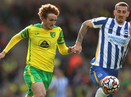 Nhận định Norwich City vs Brighton: Chim hoàng yến hót vang, 22h00 ngày 11/01/2025