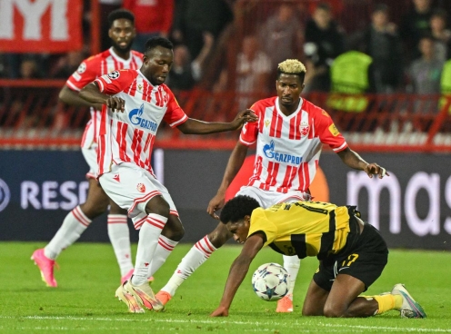 Nhận định Young Boys vs Crvena Zvezda: Một điểm danh dự, 03h00 ngày 30/1/2025